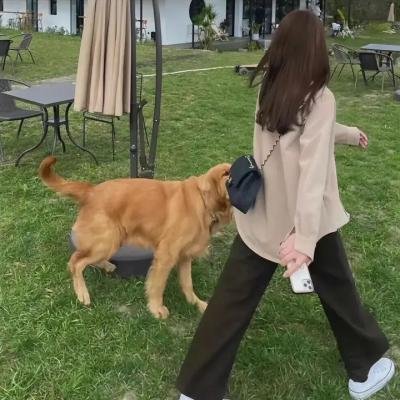 食人鱼